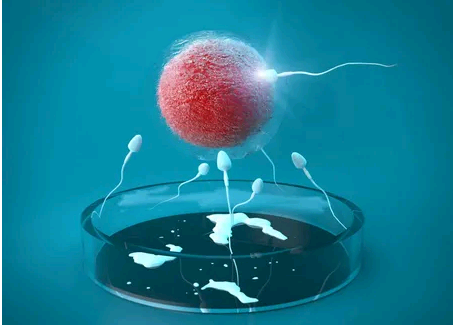 供卵生出的孩子血型随谁&供卵中介排名,回奶到底是挤还是不挤最权威的解答就