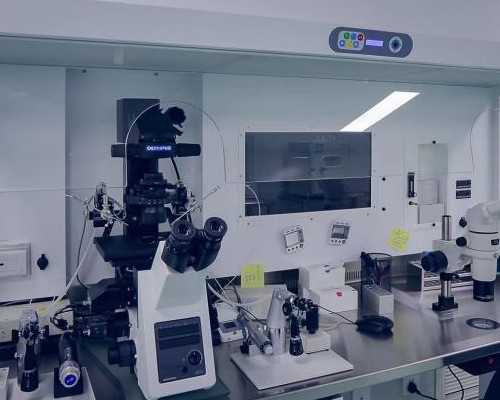 
              上海私立生殖中心做供卵试管10万包成功是骗局吗？
            