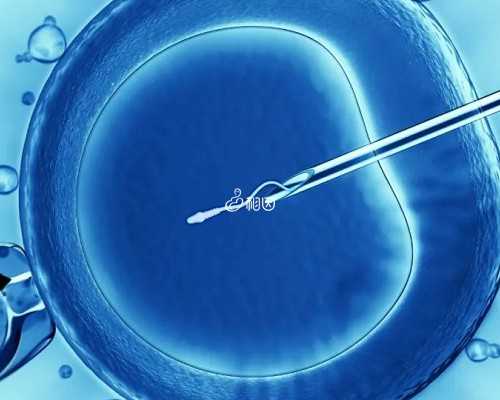 怀孕初期同房_怀孕备孕需注意哪些,一次异位妊娠一次胎停育再次备孕需要做什