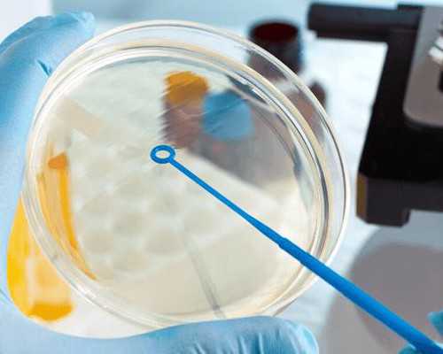 育儿知识大全01岁_备孕期间感冒怎么办,死精和活精的区别是什么？备孕了好久