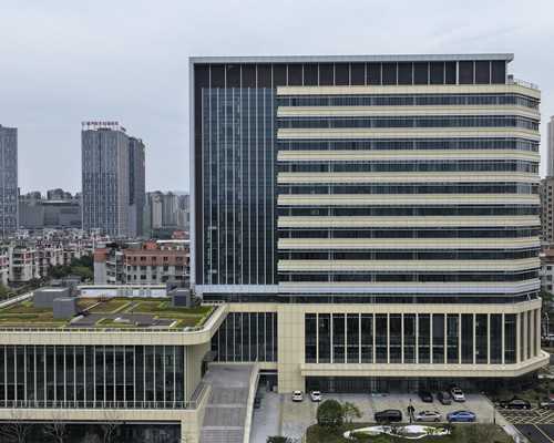 地下供卵怀孕安全吗&供卵的孩子真的好吗,生儿子备孕应该采用什么方法？3个技