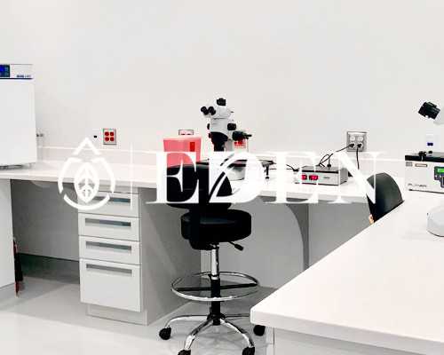 怀孕初期大便次数增多-供卵代孕公司