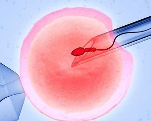 amh值低于1还能受孕吗&医院供卵需要什么,月经期间腰痛是怎么回事