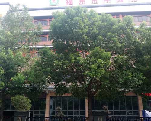 上海试管私立医院哪家最好|广州供卵中心：地下机构做供卵试管安全可靠吗？