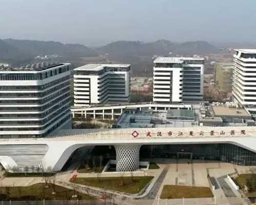 私立借卵供卵代怀,拉萨三代供卵代怀助孕包成功,辅助助孕中心