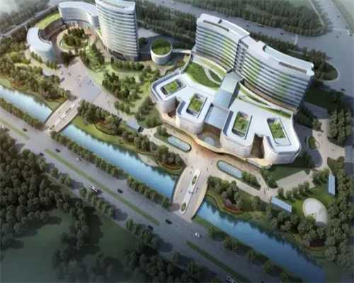 泰国做供卵试管可以生出混血儿的成功率有多大?