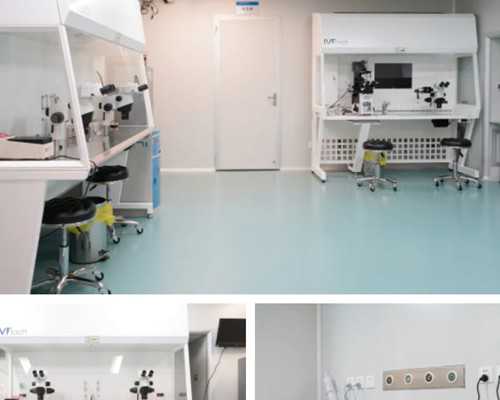 揭阳爱维艾夫可靠吗_泰东方是骗子吗|澳门供卵试管婴儿多少钱,2026供卵试管最