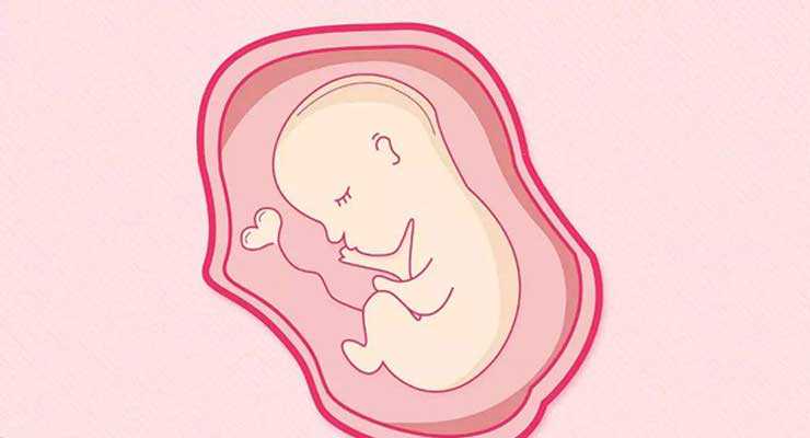 3代试管pgd多久通知&外国代孕女实惠&哈密姐妹试管婴儿养囊是什么意思？胚胎培